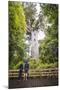 Tourists at Tane Mahuta (Lord of the Forest), the Largest Kauri Tree in New Zealand-Matthew Williams-Ellis-Mounted Photographic Print