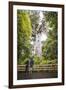 Tourists at Tane Mahuta (Lord of the Forest), the Largest Kauri Tree in New Zealand-Matthew Williams-Ellis-Framed Photographic Print