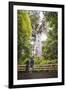 Tourists at Tane Mahuta (Lord of the Forest), the Largest Kauri Tree in New Zealand-Matthew Williams-Ellis-Framed Photographic Print