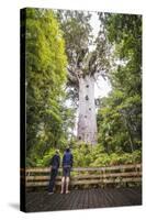 Tourists at Tane Mahuta (Lord of the Forest), the Largest Kauri Tree in New Zealand-Matthew Williams-Ellis-Stretched Canvas