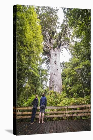 Tourists at Tane Mahuta (Lord of the Forest), the Largest Kauri Tree in New Zealand-Matthew Williams-Ellis-Stretched Canvas