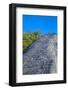 Tourists climbing the Temple, Nohoch Mul Temple, Coba, Quintana Roo, Mexico, North America-Richard Maschmeyer-Framed Photographic Print