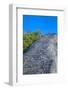 Tourists climbing the Temple, Nohoch Mul Temple, Coba, Quintana Roo, Mexico, North America-Richard Maschmeyer-Framed Photographic Print