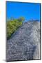 Tourists climbing the Temple, Nohoch Mul Temple, Coba, Quintana Roo, Mexico, North America-Richard Maschmeyer-Mounted Photographic Print