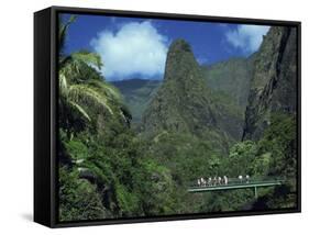 Tourists Crossing Bridge under the Maui Iao Needle, Hawaii, United States of America, North America-Tovy Adina-Framed Stretched Canvas