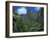 Tourists Crossing Bridge under the Maui Iao Needle, Hawaii, United States of America, North America-Tovy Adina-Framed Photographic Print