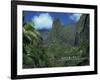 Tourists Crossing Bridge under the Maui Iao Needle, Hawaii, United States of America, North America-Tovy Adina-Framed Photographic Print