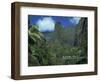 Tourists Crossing Bridge under the Maui Iao Needle, Hawaii, United States of America, North America-Tovy Adina-Framed Photographic Print