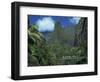 Tourists Crossing Bridge under the Maui Iao Needle, Hawaii, United States of America, North America-Tovy Adina-Framed Photographic Print