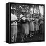 Tourists During a Halt by the Wayside, St Vincent, 1931-null-Framed Stretched Canvas