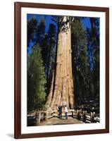 Tourists Dwarfed by the General Sherman Sequoia Tree, Sequoia National Park, California, USA-Kober Christian-Framed Photographic Print