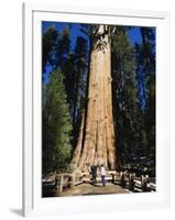 Tourists Dwarfed by the General Sherman Sequoia Tree, Sequoia National Park, California, USA-Kober Christian-Framed Photographic Print