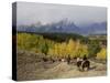 Tourists Enjoying Horseback Riding, Grand Teton National Park, Wyoming, USA-Rolf Nussbaumer-Stretched Canvas