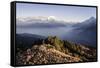 Tourists Gather on Poon Hill to Watch the Sunrise over the Annapurna Himal-Andrew Taylor-Framed Stretched Canvas