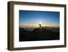 Tourists in Backlight Waiting for Sunset-Michael Runkel-Framed Photographic Print