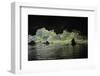 Tourists in cave on Tam Coc, Ngo Dong River, Vietnam-David Wall-Framed Photographic Print