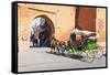Tourists in Marrakech Enjoying a Horse and Cart Ride around the Old Medina-Matthew Williams-Ellis-Framed Stretched Canvas