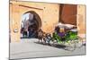 Tourists in Marrakech Enjoying a Horse and Cart Ride around the Old Medina-Matthew Williams-Ellis-Mounted Photographic Print