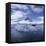 Tourists in Rigid Inflatable Boat Approach a Seal Lying on the Ice, Antarctica-Geoff Renner-Framed Stretched Canvas