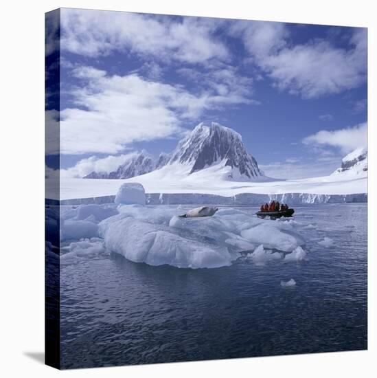 Tourists in Rigid Inflatable Boat Approach a Seal Lying on the Ice, Antarctica-Geoff Renner-Stretched Canvas