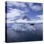 Tourists in Rigid Inflatable Boat Approach a Seal Lying on the Ice, Antarctica-Geoff Renner-Stretched Canvas