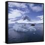 Tourists in Rigid Inflatable Boat Approach a Seal Lying on the Ice, Antarctica-Geoff Renner-Framed Stretched Canvas