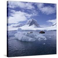 Tourists in Rigid Inflatable Boat Approach a Seal Lying on the Ice, Antarctica-Geoff Renner-Stretched Canvas