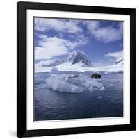 Tourists in Rigid Inflatable Boat Approach a Seal Lying on the Ice, Antarctica-Geoff Renner-Framed Photographic Print