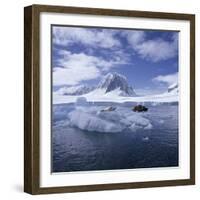 Tourists in Rigid Inflatable Boat Approach a Seal Lying on the Ice, Antarctica-Geoff Renner-Framed Photographic Print