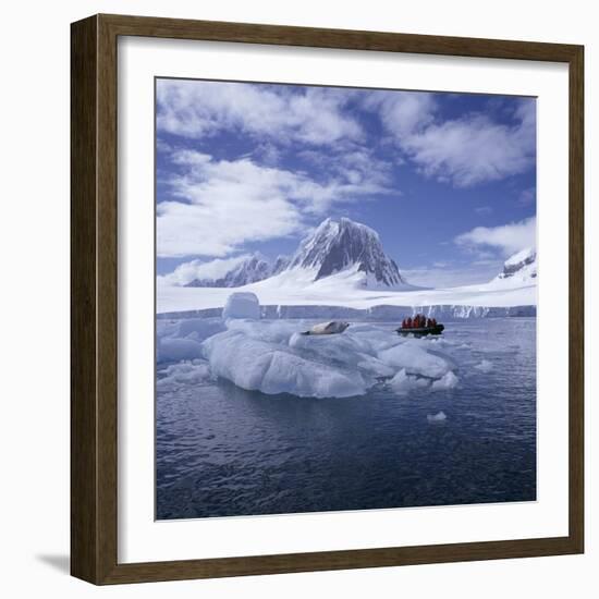 Tourists in Rigid Inflatable Boat Approach a Seal Lying on the Ice, Antarctica-Geoff Renner-Framed Photographic Print