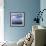 Tourists in Rigid Inflatable Boat Approach a Seal Lying on the Ice, Antarctica-Geoff Renner-Framed Photographic Print displayed on a wall