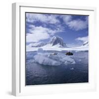 Tourists in Rigid Inflatable Boat Approach a Seal Lying on the Ice, Antarctica-Geoff Renner-Framed Photographic Print