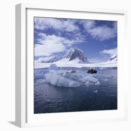 Tourists in Rigid Inflatable Boat Approach a Seal Lying on the Ice, Antarctica-Geoff Renner-Framed Photographic Print