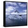 Tourists in Rigid Inflatable Boat Approach a Seal Lying on the Ice, Antarctica-Geoff Renner-Framed Stretched Canvas