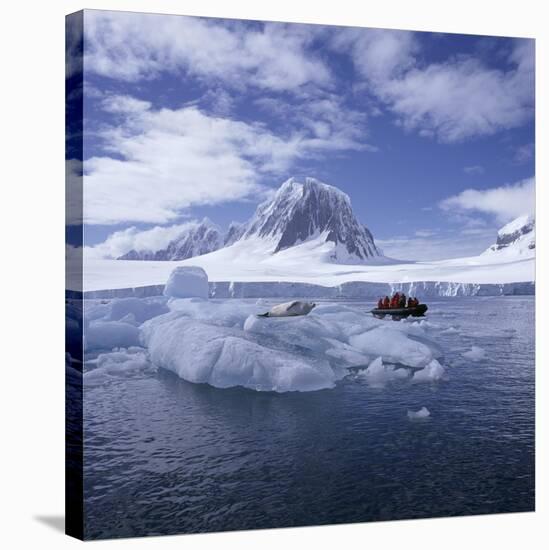 Tourists in Rigid Inflatable Boat Approach a Seal Lying on the Ice, Antarctica-Geoff Renner-Stretched Canvas