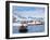 Tourists in Zodiac from Ice-Breaker Tour Ship, Spitsbergen, Norway-Tony Waltham-Framed Premium Photographic Print