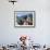 Tourists Looking out Over Machu Picchu, Unesco World Heritage Site, Peru, South America-Jane Sweeney-Framed Photographic Print displayed on a wall