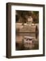 Tourists on a Boat on Lake Pichola in Udaipur, Rajasthan, India, Asia-Martin Child-Framed Photographic Print