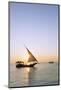 Tourists on a sunset cruise on the Indian Ocean, Nungwi, Island of Zanzibar, Tanzania, East Africa-Christian Kober-Mounted Photographic Print