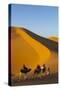 Tourists on Camel Safari, Sahara Desert, Merzouga, Morocco, North Africa, Africa-Doug Pearson-Stretched Canvas