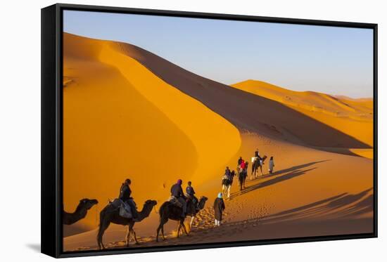 Tourists on Camel Safari, Sahara Desert, Merzouga, Morocco, North Africa, Africa-Doug Pearson-Framed Stretched Canvas