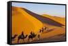 Tourists on Camel Safari, Sahara Desert, Merzouga, Morocco, North Africa, Africa-Doug Pearson-Framed Stretched Canvas