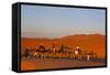 Tourists on Camel Safari, Sahara Desert, Merzouga, Morocco, North Africa, Africa-Doug Pearson-Framed Stretched Canvas