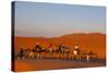 Tourists on Camel Safari, Sahara Desert, Merzouga, Morocco, North Africa, Africa-Doug Pearson-Stretched Canvas