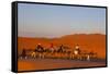 Tourists on Camel Safari, Sahara Desert, Merzouga, Morocco, North Africa, Africa-Doug Pearson-Framed Stretched Canvas