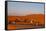 Tourists on Camel Safari, Sahara Desert, Merzouga, Morocco, North Africa, Africa-Doug Pearson-Framed Stretched Canvas