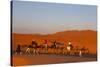 Tourists on Camel Safari, Sahara Desert, Merzouga, Morocco, North Africa, Africa-Doug Pearson-Stretched Canvas