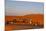 Tourists on Camel Safari, Sahara Desert, Merzouga, Morocco, North Africa, Africa-Doug Pearson-Mounted Photographic Print