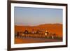 Tourists on Camel Safari, Sahara Desert, Merzouga, Morocco, North Africa, Africa-Doug Pearson-Framed Photographic Print
