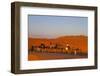 Tourists on Camel Safari, Sahara Desert, Merzouga, Morocco, North Africa, Africa-Doug Pearson-Framed Photographic Print